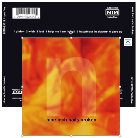 NIN.JPG