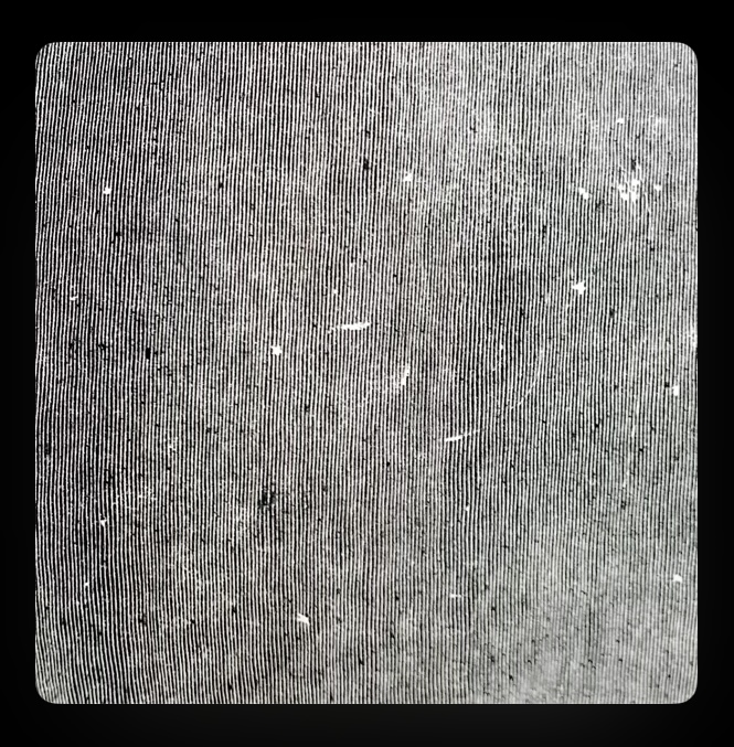 53AC4D89-9499-46B5-930E-D95D01B7ED05.jpeg