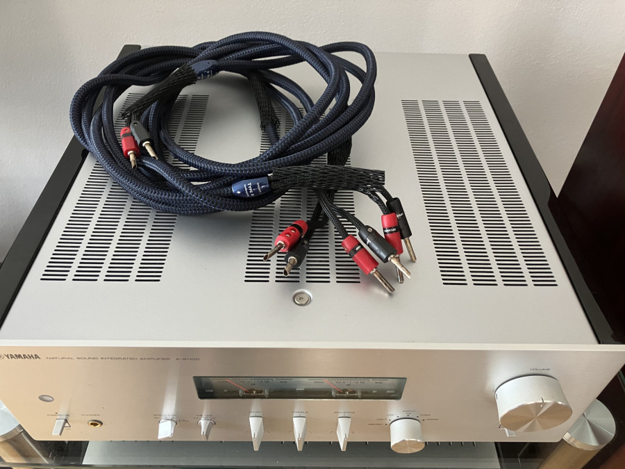 HiFI A S1100 Yamaha (plus Audioquest Type 4).JPG