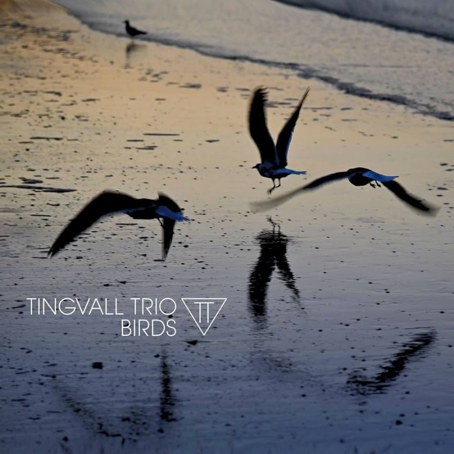 tingvall trio - birds.jpg