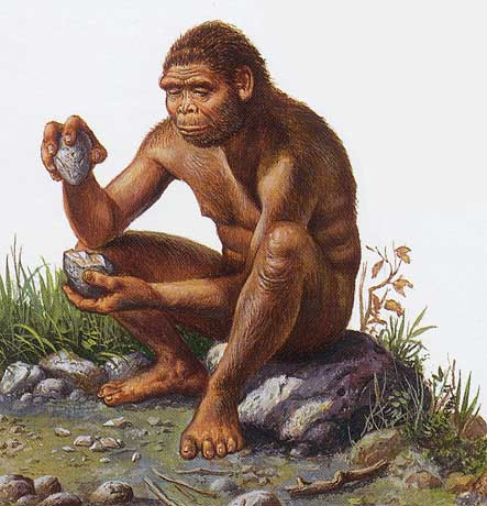 homo-habilis-003.jpg