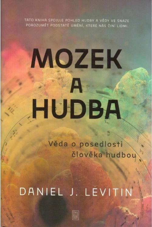 mozek.jpg