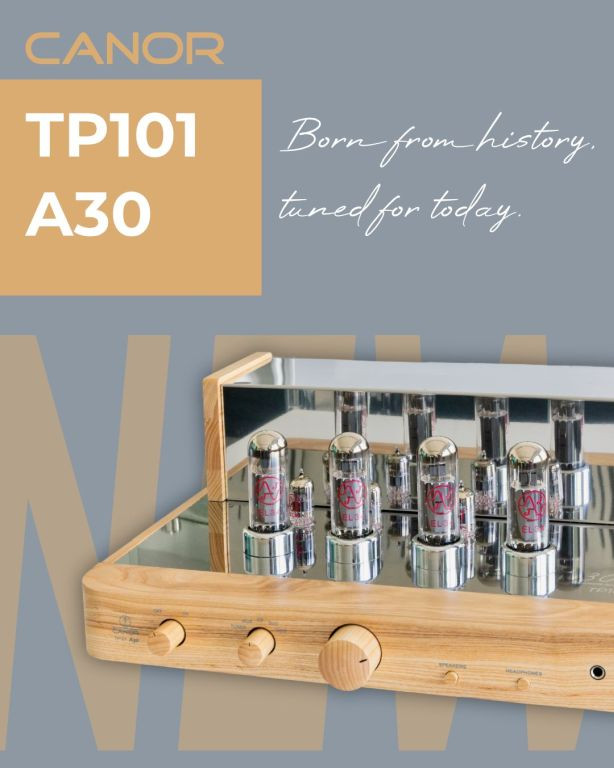 TP101 A30.jpg