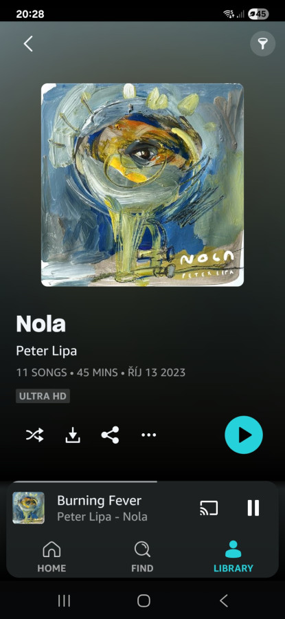 Screenshot_20250724_202823_Amazon Music.jpg