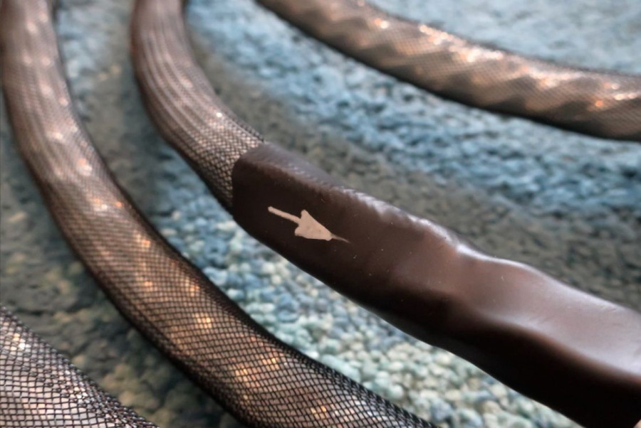 Roth silver gate lite 3.jpg