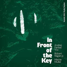 andrej farkas trio - in front of the key.jpg