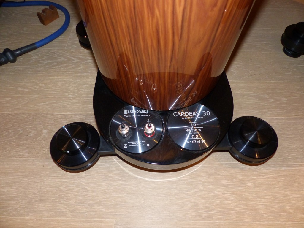 P1040512 (Medium).JPG