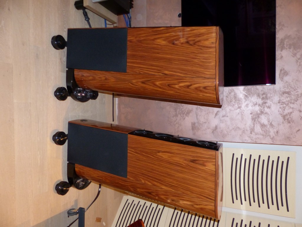 P1040510 (Medium).JPG