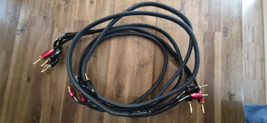 WhatsApp Image 2026-03-30 at 14.42.20c.jpeg