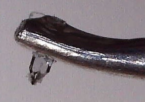 260516145008978_detail.jpg