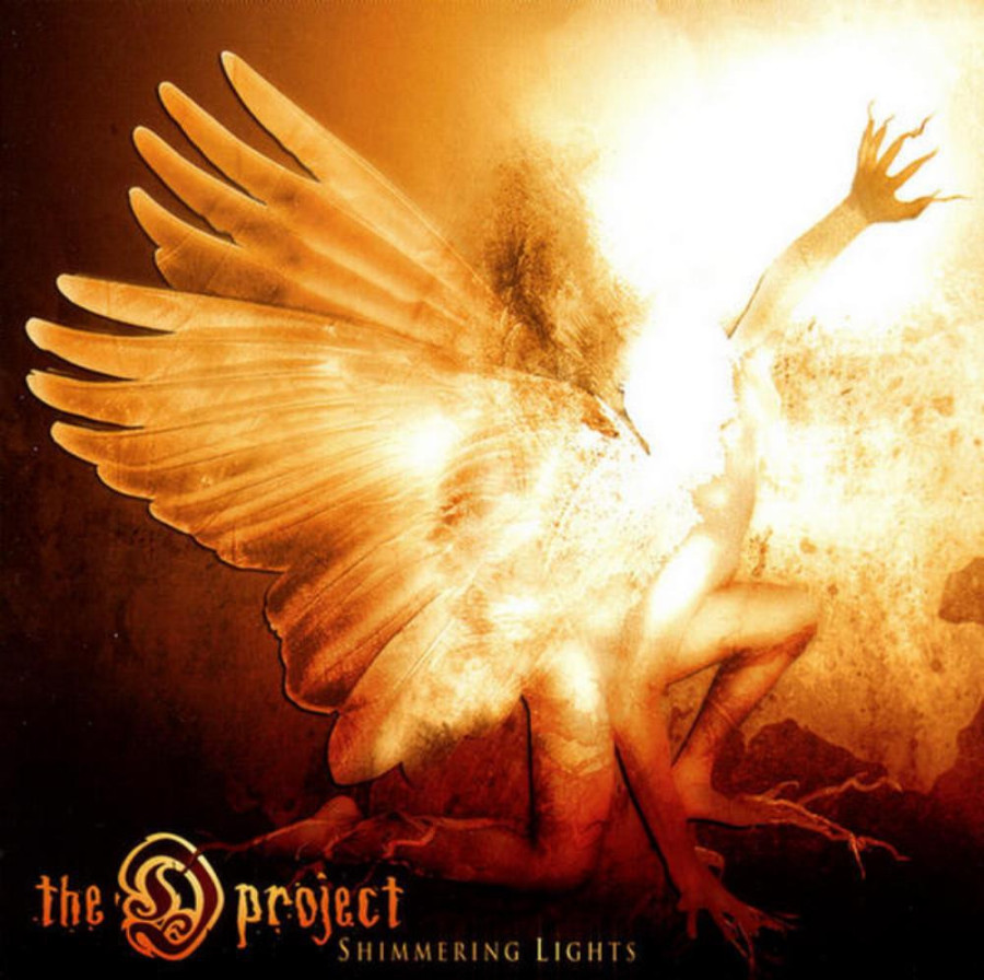 the d project.jpg