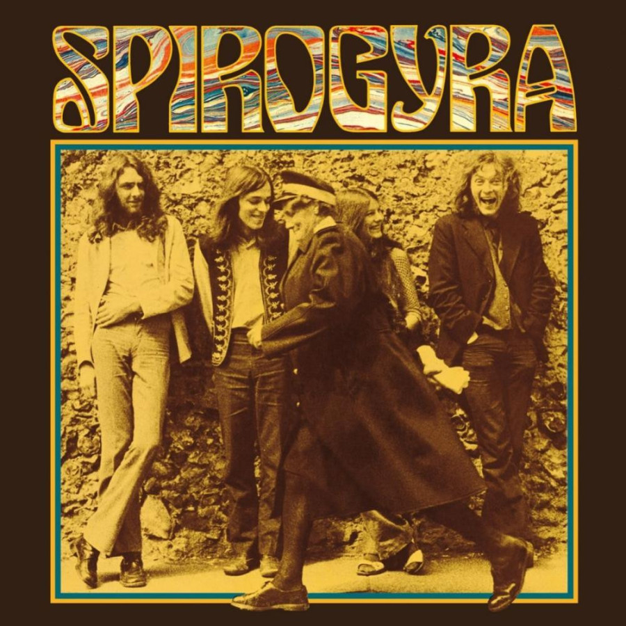 spirogyra.jpg