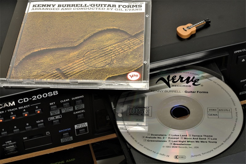 Guitar_Forms__x800.jpg