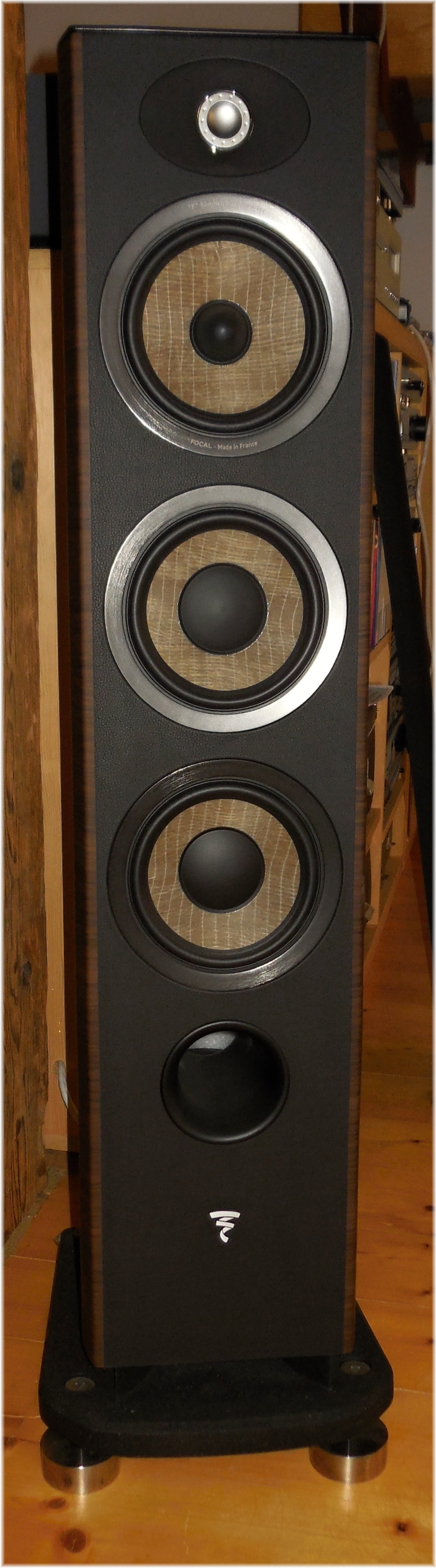 Focal 2.JPG