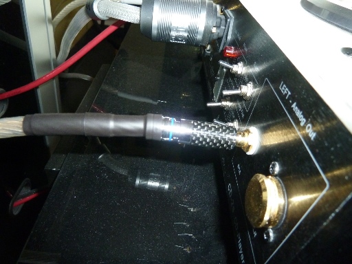 RCA left.JPG