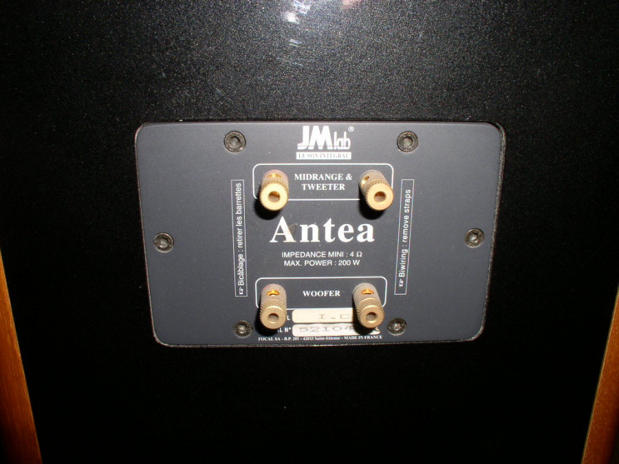 P1010003.JPG
