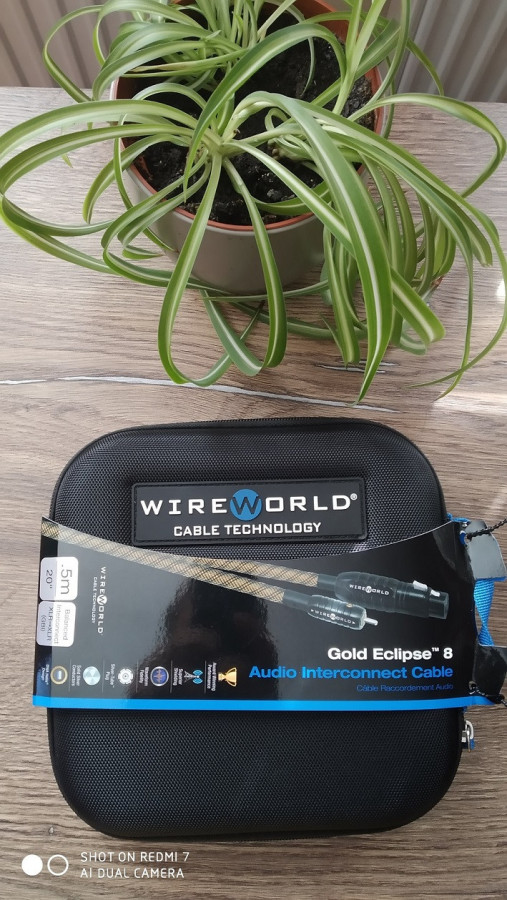 WW 8.jpg